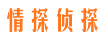 八道江侦探公司